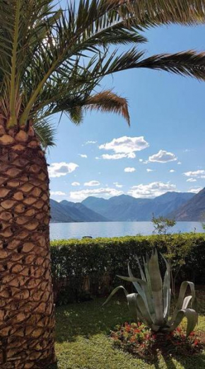 Apartment Maniva, Kotor